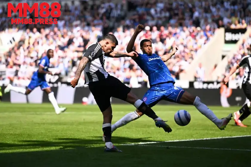 Chelsea và Newcastle dễ chia điểm ở trận đấu này.